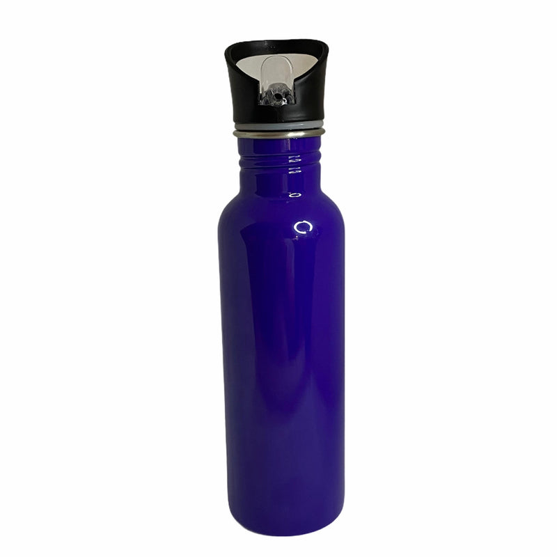 Stainless Steel Water Bottles