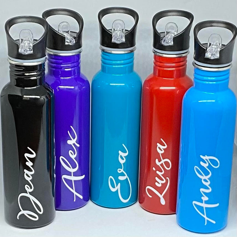 Stainless Steel Water Bottles